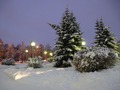 Выпал снег 25.11.2015