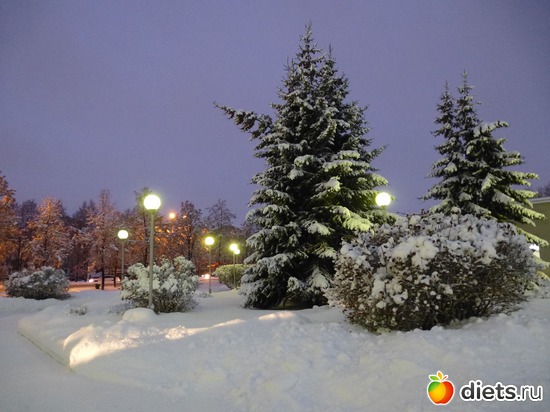 ����� ���� 25.11.2015, ������: �������