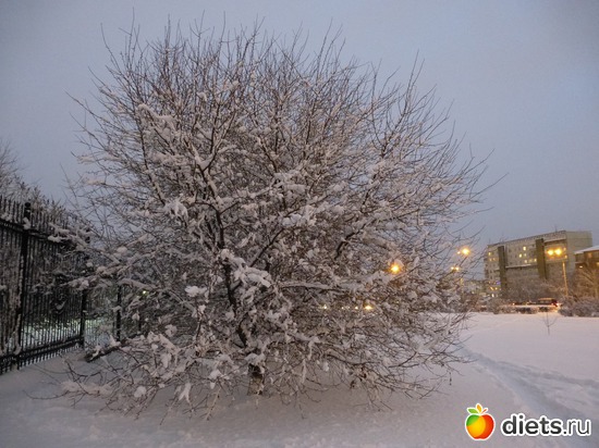 ����� ���� 25.11.2015, ������: �������