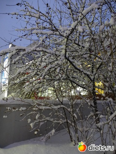 ����� ���� 25.11.2015, ������: �������