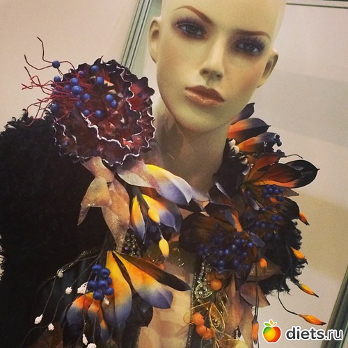 11 ����: ��� ��� 2015 � �����������