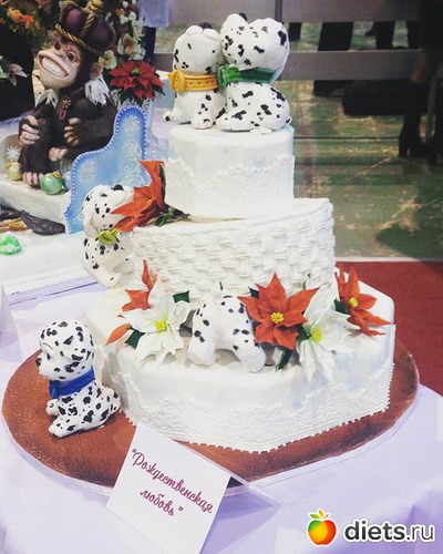 12 ����: ��� ��� 2015 � �����������