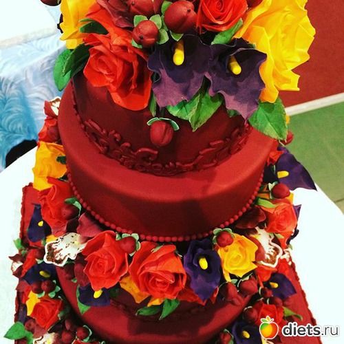 15 ����: ��� ��� 2015 � �����������