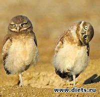 Марафон по проФФессору СветЛячку