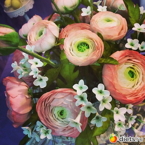 �������� �����: �������...�� �������...� ������ �� ������������, ������: ��� ��� 2015 � �����������