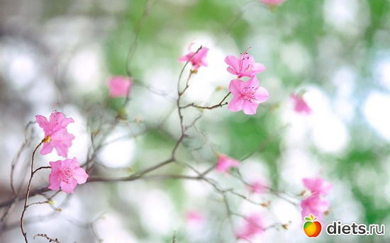 1 ����: ����������