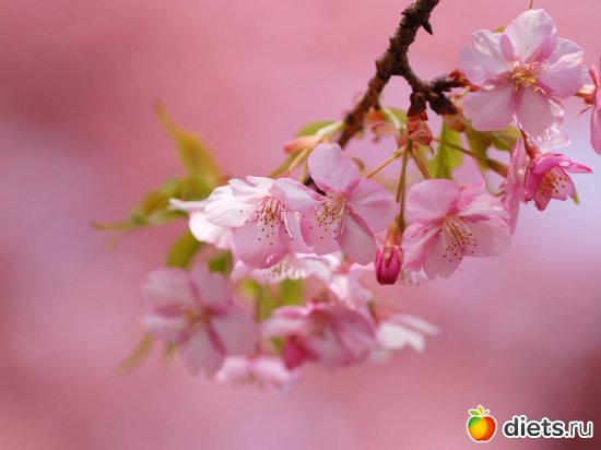 4 ����: ����������