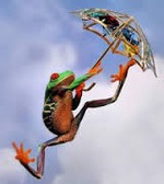 Год 2016 - лучший из уже прожитых