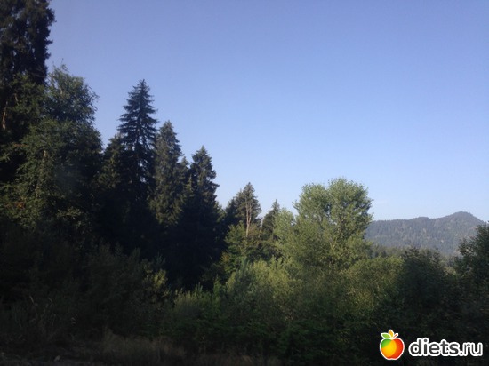 3 ����: ������ ����3 ��������: