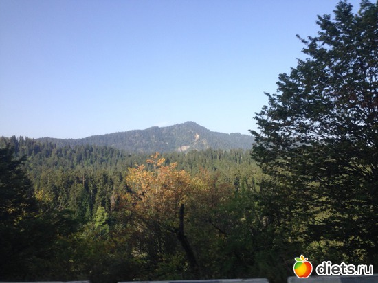 4 ����: ������ ����3 ��������: