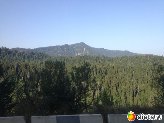 5 ����: ������ ����3 ��������:
