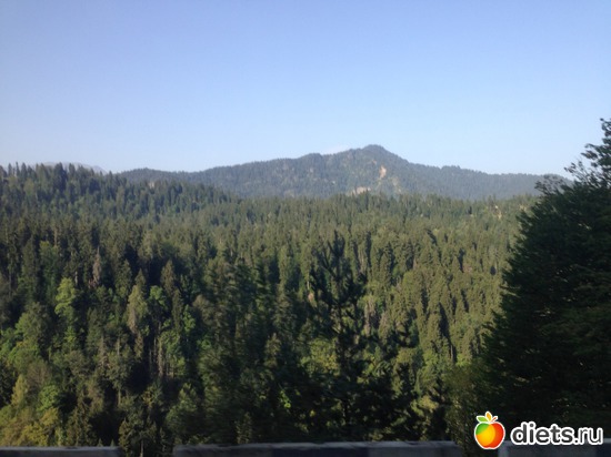 6 ����: ������ ����3 ��������: