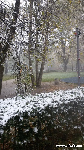 14 ����: � �������