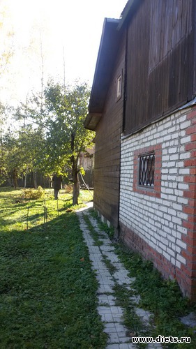 3 фото: осень 2015