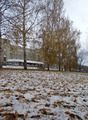октябрь 2015