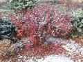 октябрь 2015