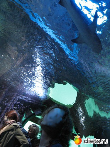 52 фото: Берген. Норвегия. 2013