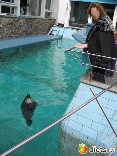 55 фото: Берген. Норвегия. 2013