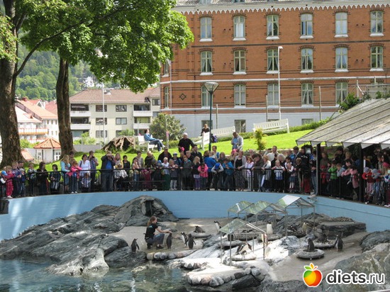 56 фото: Берген. Норвегия. 2013