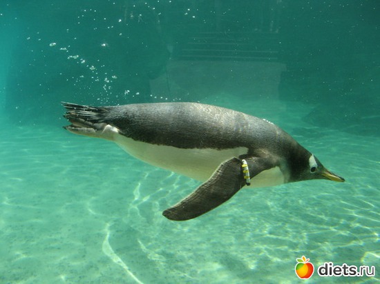 57 фото: Берген. Норвегия. 2013