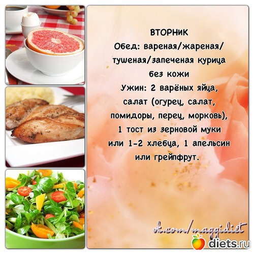 2 фото: Магги - 1 неделя