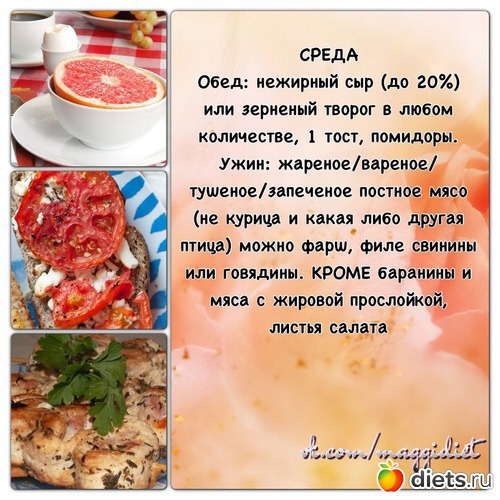 3 фото: Магги - 1 неделя