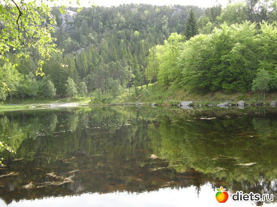 79 фото: Берген. Норвегия. 2013