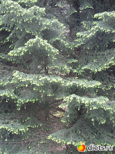 84 фото: Берген. Норвегия. 2013