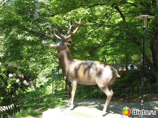 87 фото: Берген. Норвегия. 2013