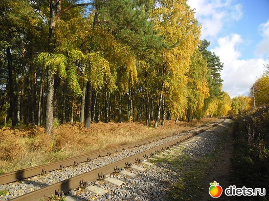 62 фото: Природа