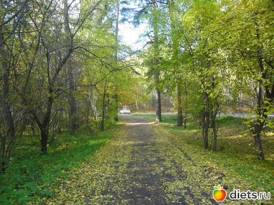 64 фото: Природа