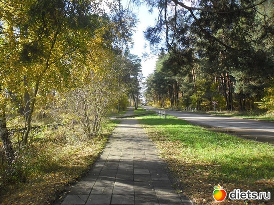 65 фото: Природа