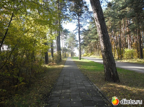 68 фото: Природа