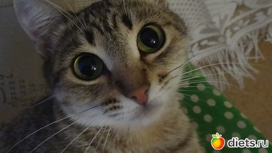 7 ����: ��� ��������