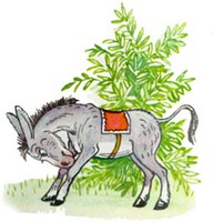 Упрямый и терпеливый