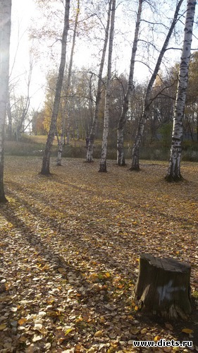 16 ����: ����� 2015