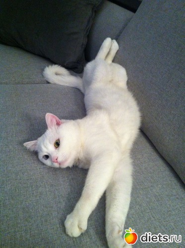 13 фото: Васятко