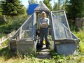 Парник-пирамида.