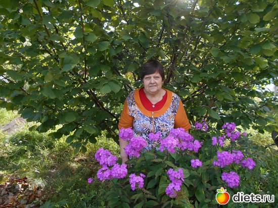 Я, орех и флоксы., альбом: Наша дача.