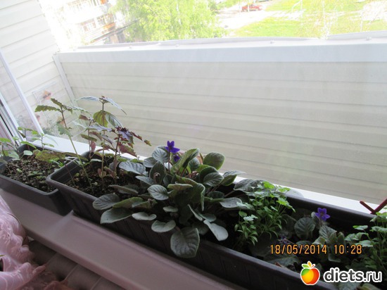 1 ����: �