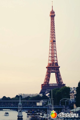 1 ����: ������