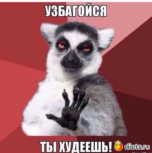 3 фото: Мотивашки
