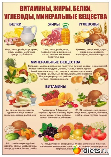 5 фото: Правильное питание.