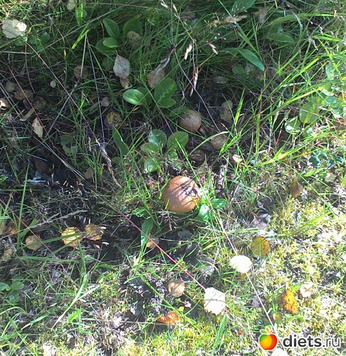 3 ����: �����