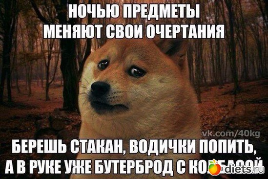 11 ����: \*0*/