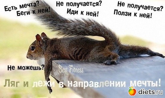1 ����: ���������