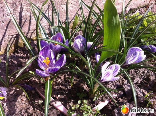 2 ����: ����