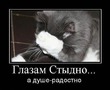 ������ ���� � ��� ��� ������...