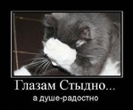 ������ ���� � ��� ��� ������...