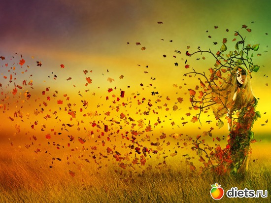 33 ����: ,,,